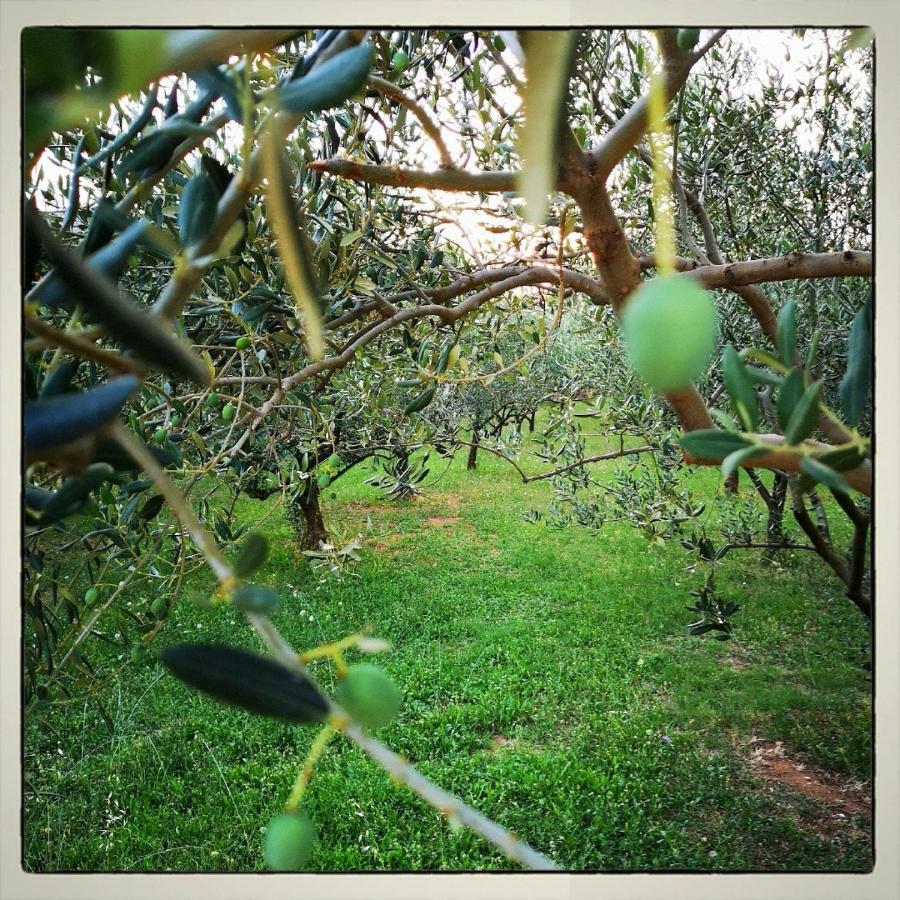 מלון Međugorje Pansion Ruzic מראה חיצוני תמונה